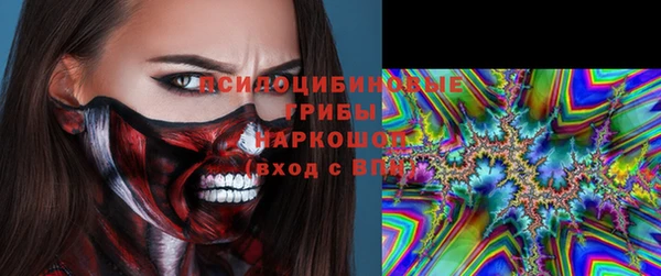 дмт Пересвет