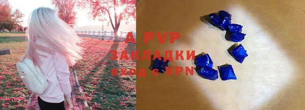 мет Богданович